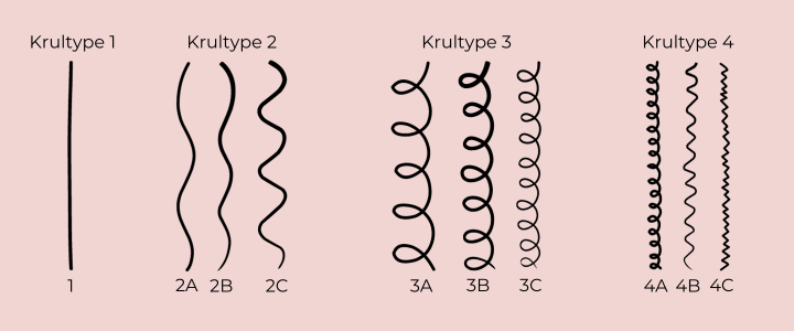 Verschillende soorten krultypes